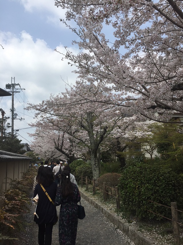 哲学の道と霊鑑寺