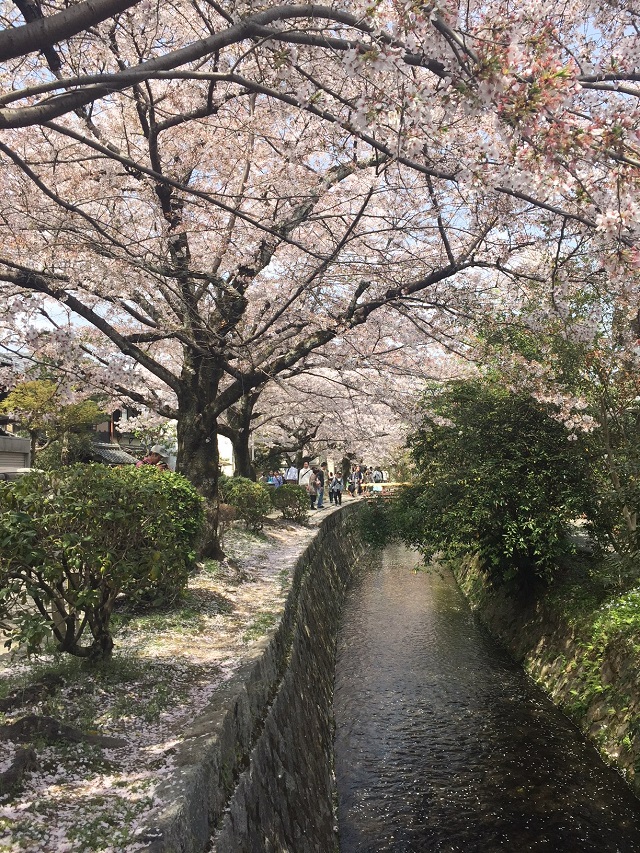 哲学の道と霊鑑寺